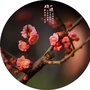 花香文摘ico