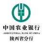中国农业银行陕西分行公众号ico