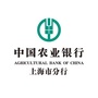 中国农业银行上海市分行ico