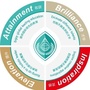 大连开发区红梅爱贝迪学院ico