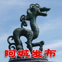 阿城信息发布ico