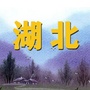 湖北家乡网ico