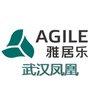 武汉凤凰环保公众号ico