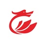 飞龙新材公众号ico