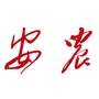 安华保险ico