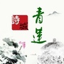 诗城青莲ico