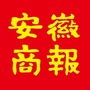 安徽商报ico