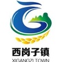 黑河岗解ico