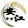 希望安江公众号ico
