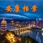 安康档案ico