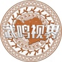 武鸣视界ico