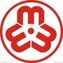阿勒泰巾帼风采ico