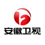 安徽卫视公众号ico