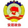 安居政协ico