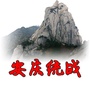 安庆统战ico