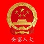 安塞人大ico