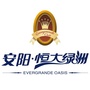 安阳恒大绿洲ico