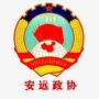 安远政协ico