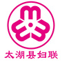 太湖妇联ico