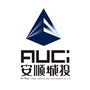 安顺城投ico