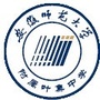 安徽师范大学附属叶集中学ico
