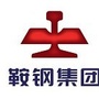 鞍山钢铁集团有限公司ico