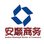 安顺商务ico