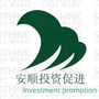 安顺投资促进ico
