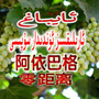 阿依巴格零距离ico