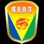 安阳市曙光学校学区ico