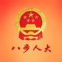 八步人大ico