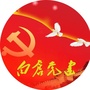 白仓党建ico