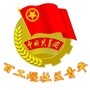 龙泉驿百工堰社区青年ico