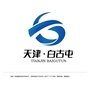武清白古屯ico