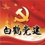 白鹤党建ico