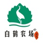 白鹤农场ico