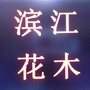 杭州百纳花木ico