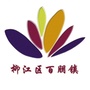 柳江区百朋镇ico