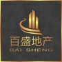 汕头市百盛地产ico