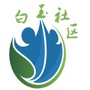 长芦白玉ico