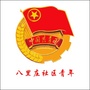 成华区府青路街道八里庄社区青年ico