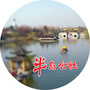 半岛公社ico