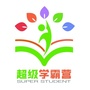 超级学霸营ico