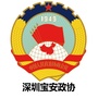 深圳宝安政协ico