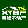宝峰不动产ico