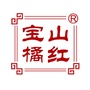 宝山橘红ico
