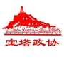 宝塔政协ico