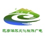 巴彦淖尔市文化旅游广电局ico