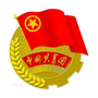 巴中V青年ico