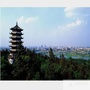 禹会区人民政府发布ico